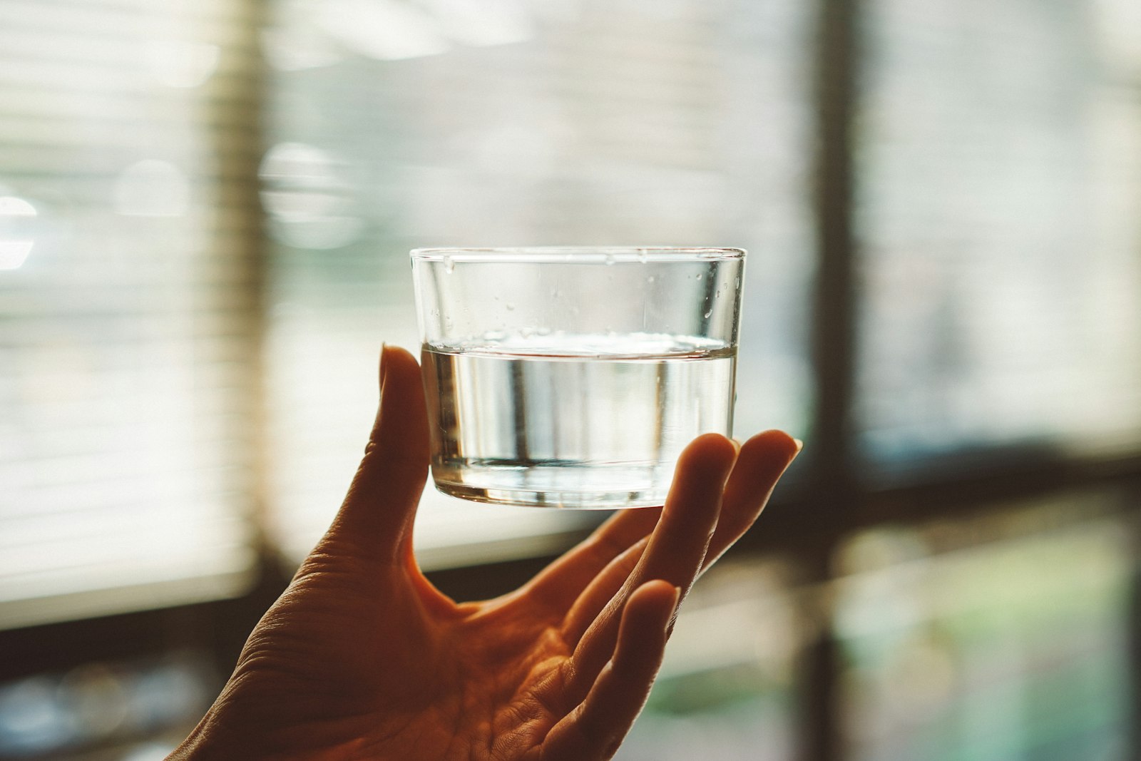 Alkaline Water Ionizers: Hype vs Real